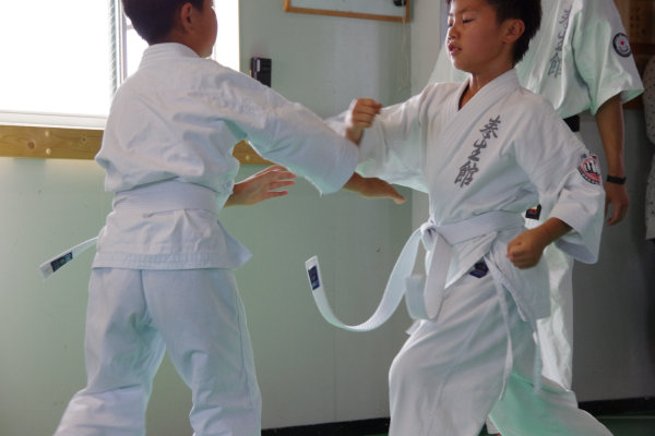 sjun (137).jpg
